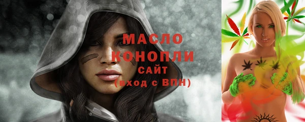 винт Каменка