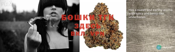 винт Каменка