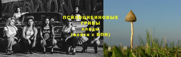 стафф Каменногорск