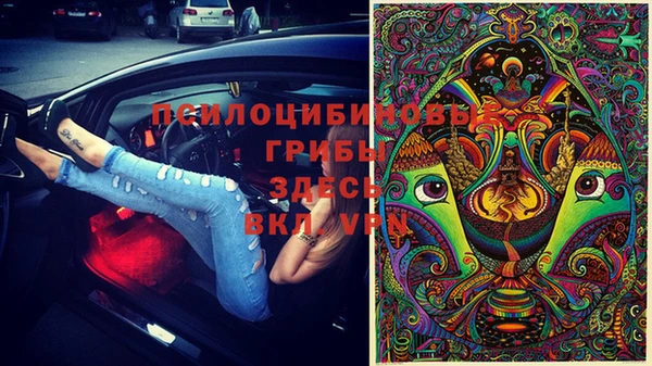 винт Каменка