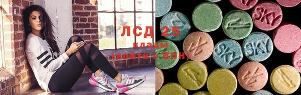 винт Каменка