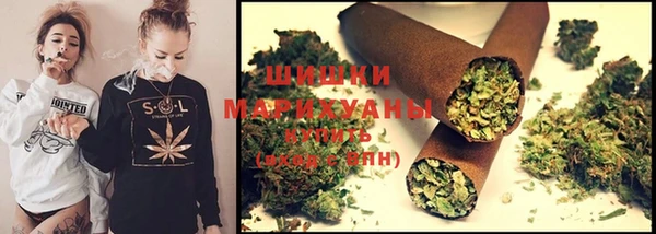 винт Каменка