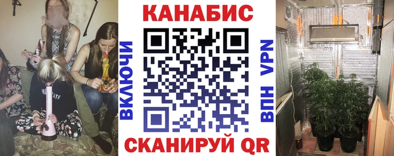 Купить закладки  Котово  МАРИХУАНА сатива 